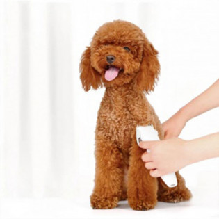 Xiaomi Pawbby Pet Shaver (MG-HC001) White